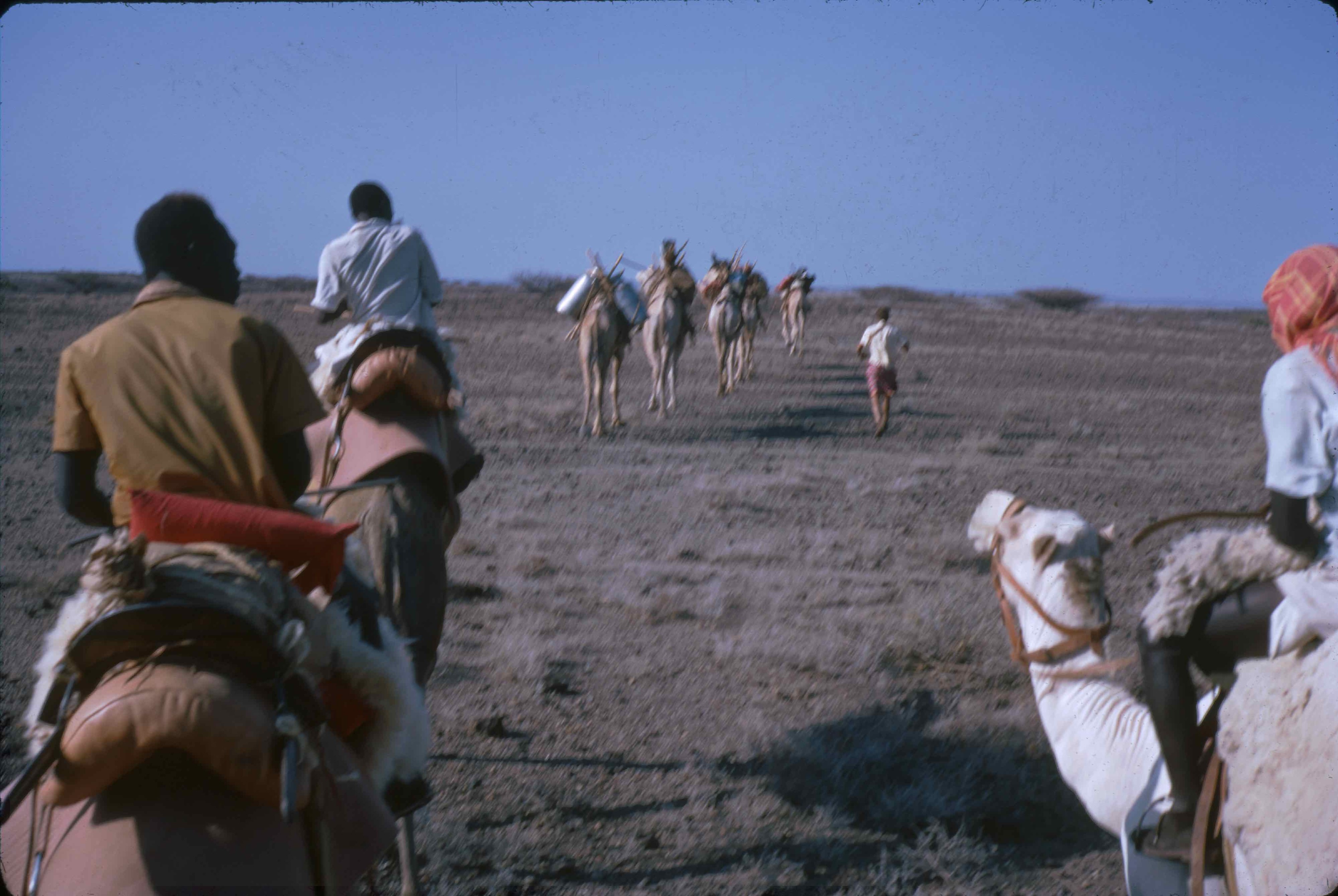 Fossil site survey